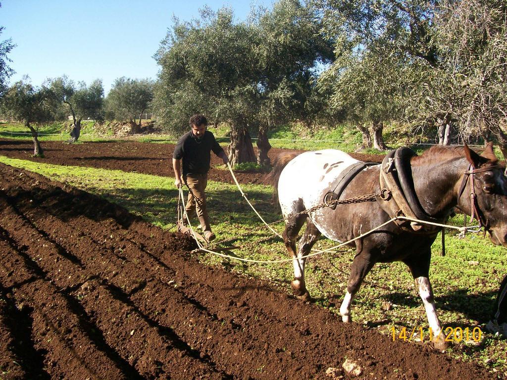 Agriturismo Armienti Villa Toritto Esterno foto